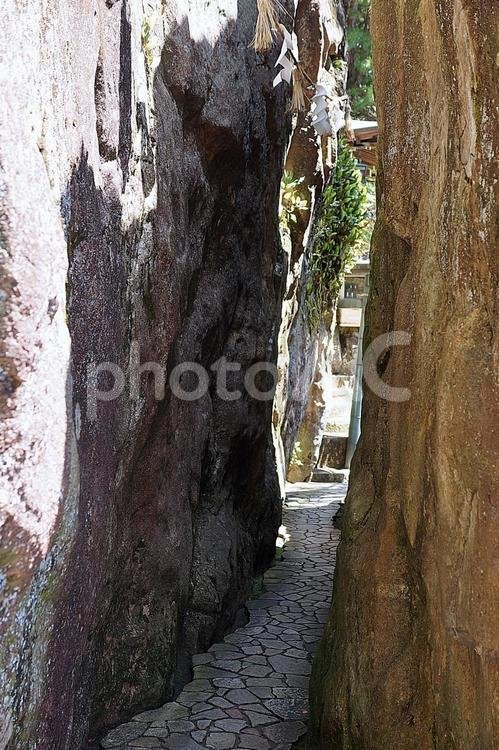 ⛩️ 타로보 신궁(아가 신사) 이미지 3